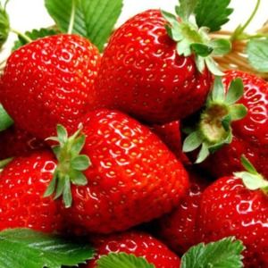 Meet your Posher, Shonna